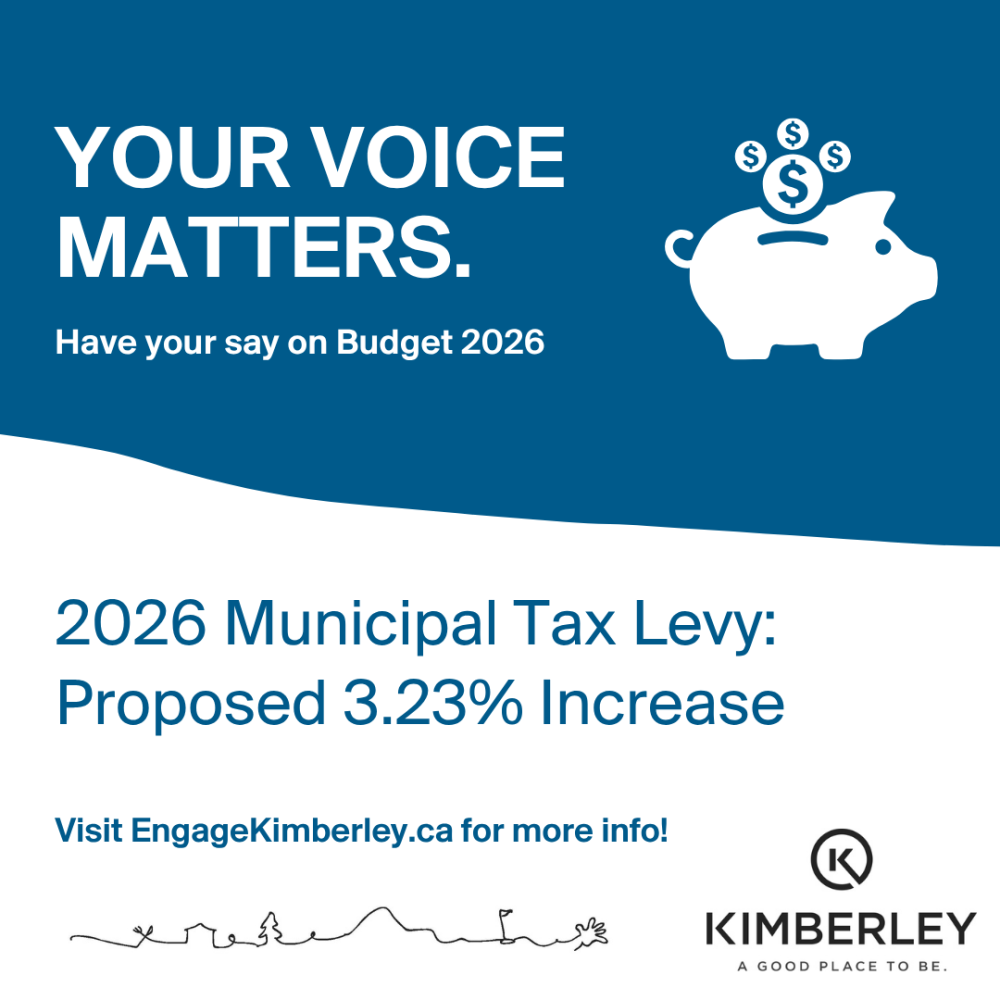 image of piggy bank calling for engagement on financial plan