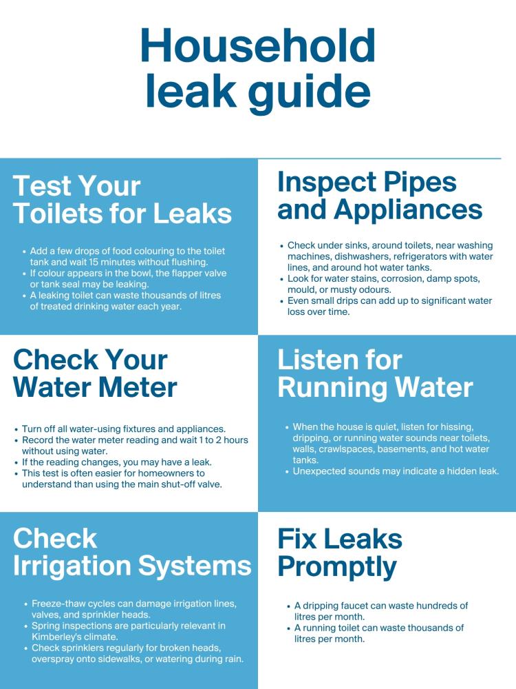 household leak guide