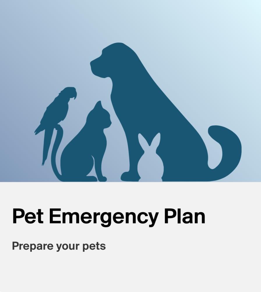 Prepare your pets for wildfires