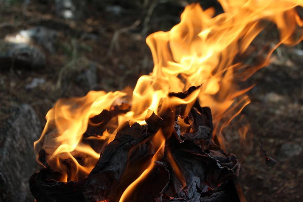 wildfire
